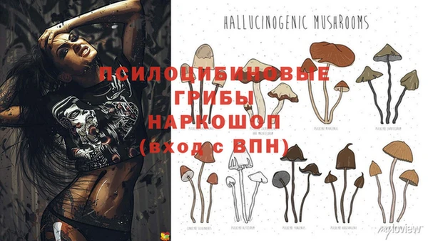 марихуана Алексеевка
