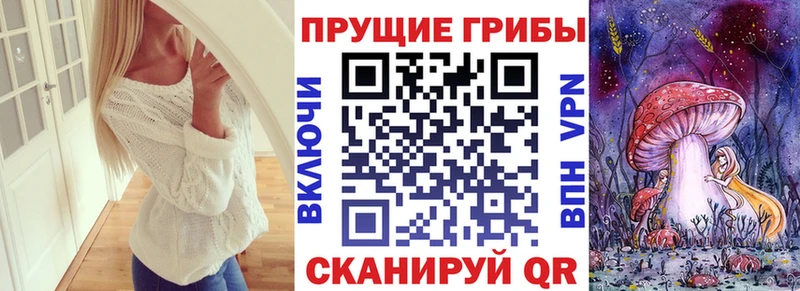 Галлюциногенные грибы мицелий  Апрелевка 